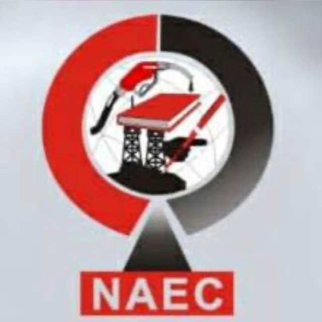 NAEC hosts policy debate on Nigeria’s energy future