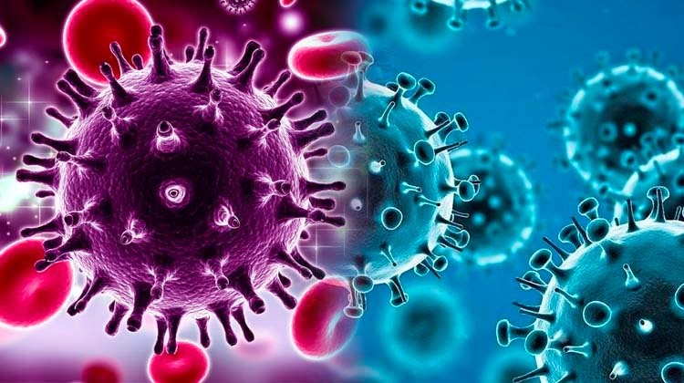 Experts fear travel ban as Canada detects Nigeria-linked Omicron variant cases