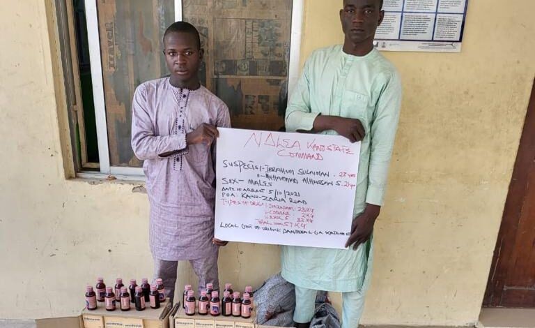 NDLEA intercepts cocaine, meth en route UK