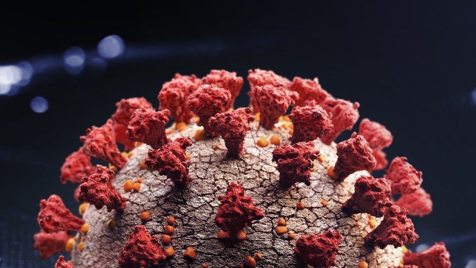 South African scientists probe link between COVID variants, untreated HIV
