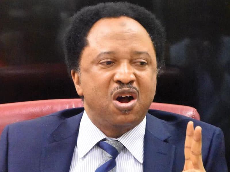 Sen. Shehu Sani joins Kaduna guber race