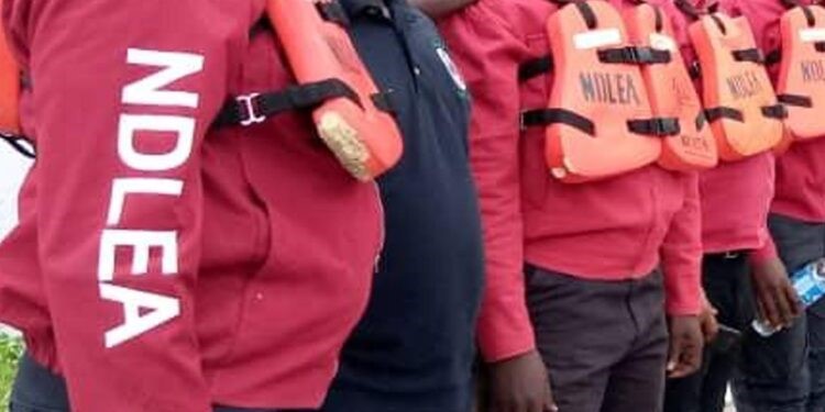 NDLEA intercepts 3million opioid capsules at Lagos port