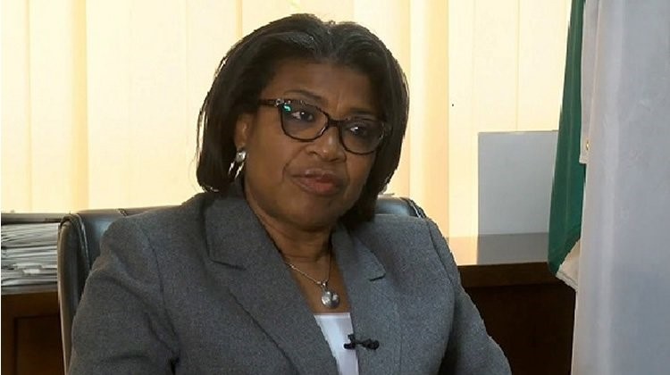 Fed Govt new borrowings rise by 278.03% in six years