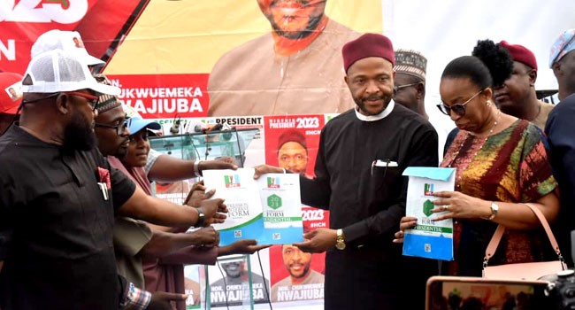 Education minister buys N100m APC presidential form