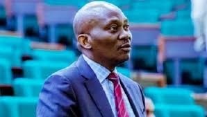 Elumelu, others emerge winners in Delta PDP primaries