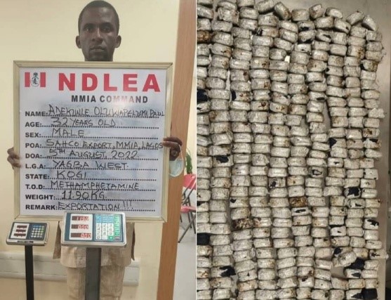 Dubai-bound meth drug hidden in heads of smoked fish