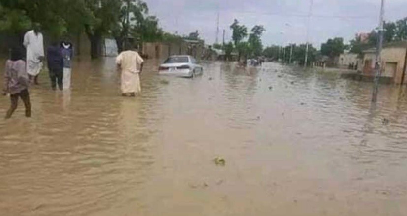 Flood kills 50, displaces many in Jigawa