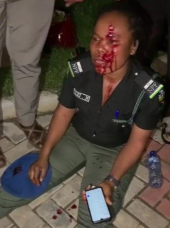 Police arrest Abuja Prof for beating orderly over house chores