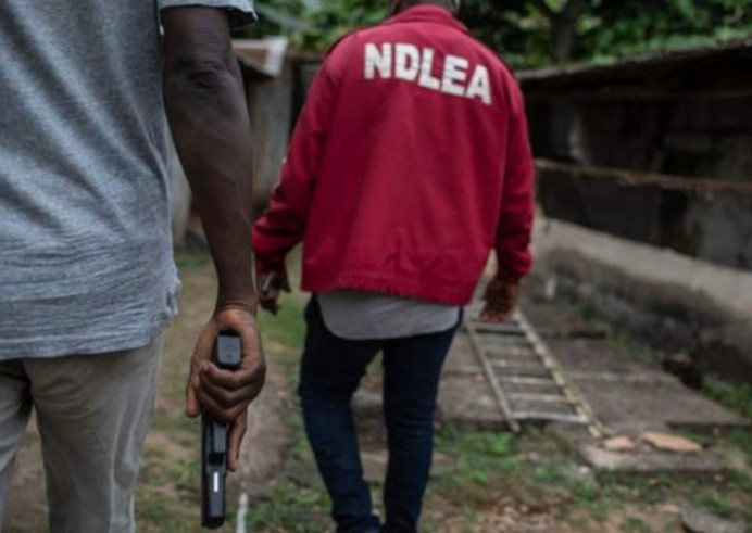 NDLEA apologises after raiding wrong target