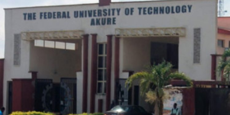 FUTA student kills self over fraud allegation