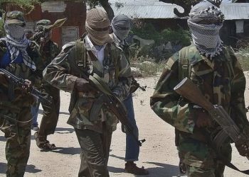 US air strike in Somalia kills 30 Al-Shabab militants
