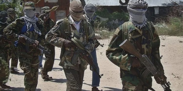 US air strike in Somalia kills 30 Al-Shabab militants