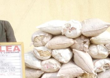 NDLEA nabs blind grandpa, leper for drug trafficking