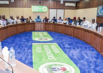 Labour flares governors as states reject LG autonomy