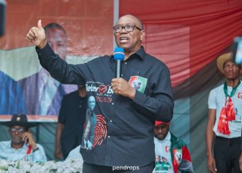 Peter Obi coasting to landslide victory in Edo