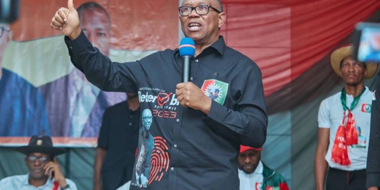 Peter Obi coasting to landslide victory in Edo