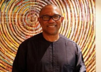 Elections: Why Obi can’t part with N2bn – Shehu Sani