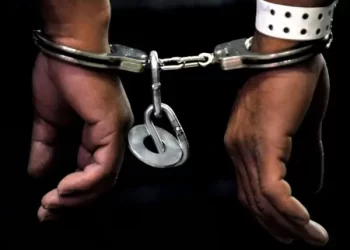 Saudi Arabia detains 800 Nigerians