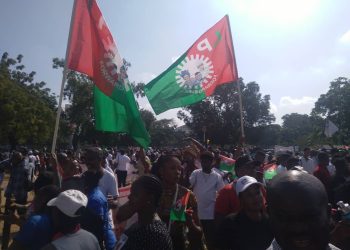 ‘Obidient’ Movement adopts gov, state assembly candidates nationwide