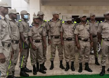 Ebonyi giving Ebubeagu a bad name – Punch