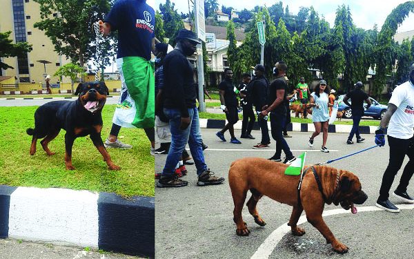 Police bar dogs from polling booths on Saturday