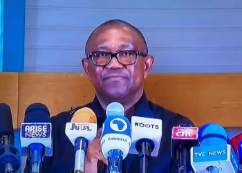 2023: I’ll prove Labour Party won presidential election – Peter Obi vows