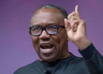UK immigration saga: Plots against Peter Obi will fail — Ohanaeze