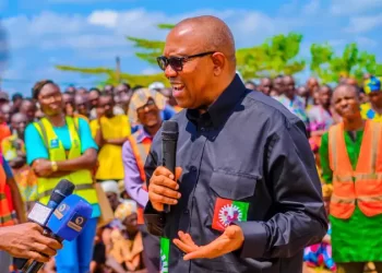 Leaked audio: I never campaigned on ethnicity or religion – Peter Obi