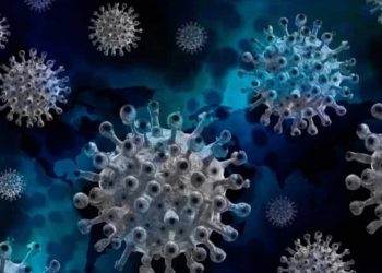 Animal DNA in samples show origin of COVID-19 – Report