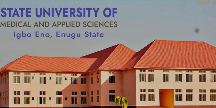 Enugu: SUMAS, among Gov. Ugwuanyi’s greatest achievements, says Vice Chancellor