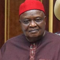 Iwuanyanwu emerges as new Ohanaeze Ndigbo President-General