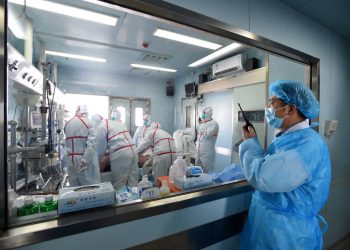 China reports first fatal human case of bird flu