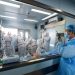 China reports first fatal human case of bird flu