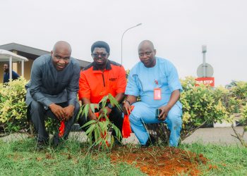Egbin Power commemorates Tree Planting Day to deepen environmental sustainability