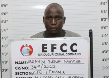 Zulum drops commissioner-nominee over EFCC arraignment