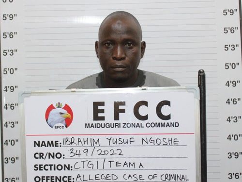 Zulum drops commissioner-nominee over EFCC arraignment