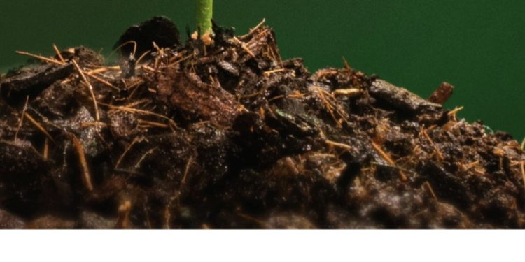 ‘Exercise Patience!’ Jehovah’s Witnesses urge as larger gatherings resume with 696 assemblies across Nigeria