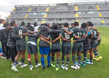 Falcons plan protest, World Cup boycott as NFF cancels bonuses