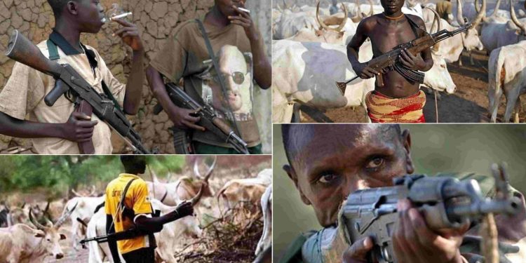 Resurgence of killings threatens Noth Central states, food production