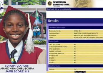 Amaechina, 16, scores nine A1s in 2023 WASSCE