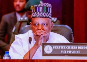 Adeleke, Obaseki, others present as Shettima presides over NEC meeting