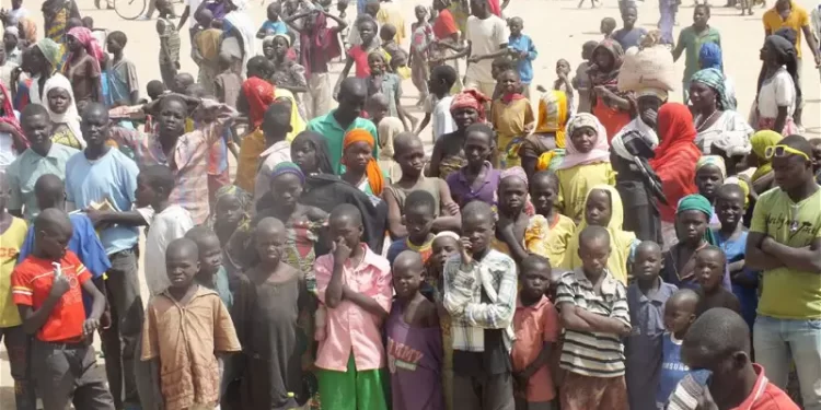 7 die as building collapses in Borno IDPs camp
