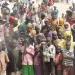 7 die as building collapses in Borno IDPs camp