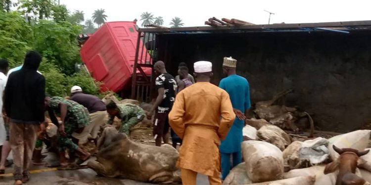 Five die in Lagos-Ibadan Expressway accident