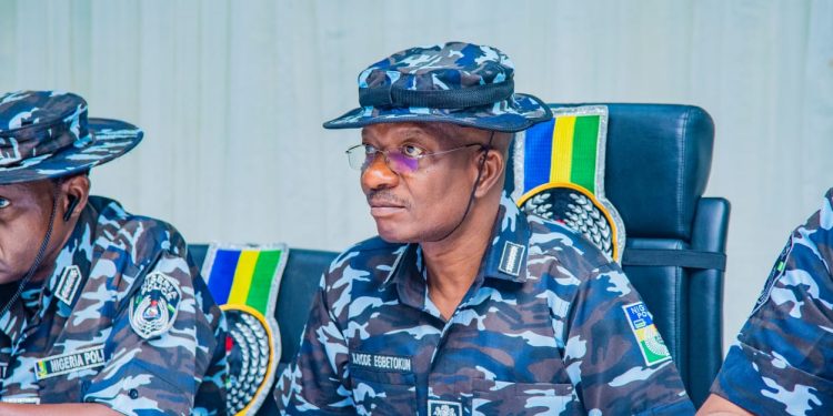 Insecurity: Police IG sets up panel to review firearms licensing, regulations