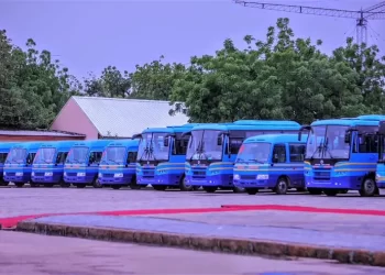 Subsidy removal: Zulum unveils 70 buses for metro transport, civil servants