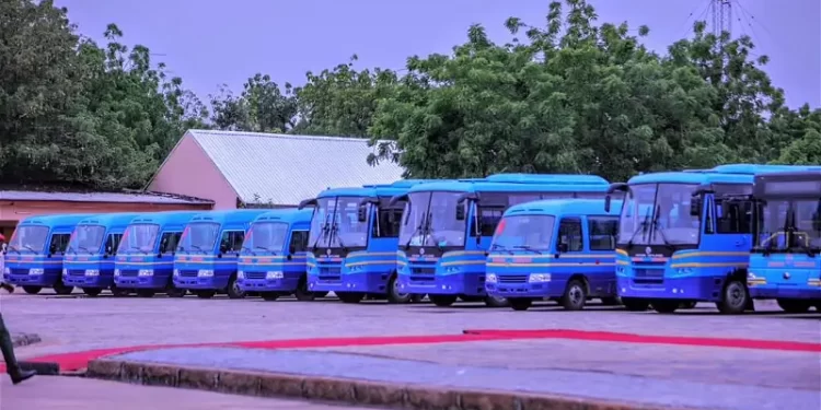 Subsidy removal: Zulum unveils 70 buses for metro transport, civil servants