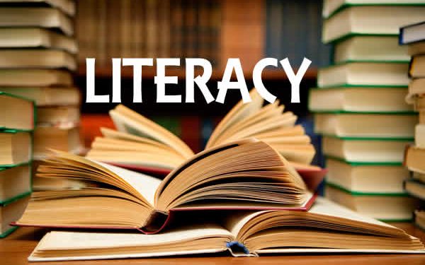 Nigeria’s literacy rate still too low – Punch
