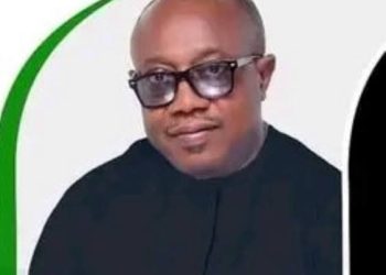 Appeal Court sacks Elumelu, declares LP candidate winner