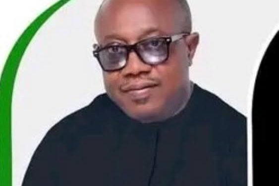 Appeal Court sacks Elumelu, declares LP candidate winner